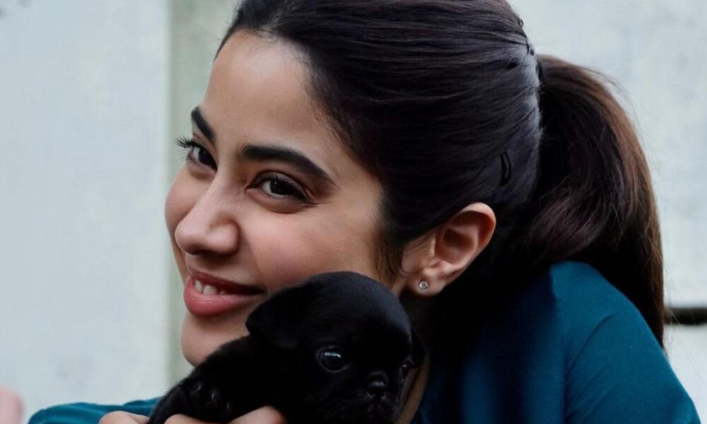 Janhvi Kapoor’s Mili Tops the Trend Chart on Netflix