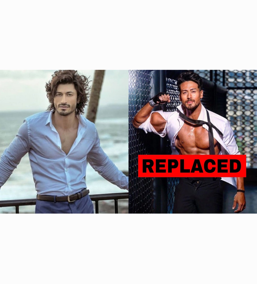 Vidyut Jammwal Replaces Tiger Shroff In An Action Movie