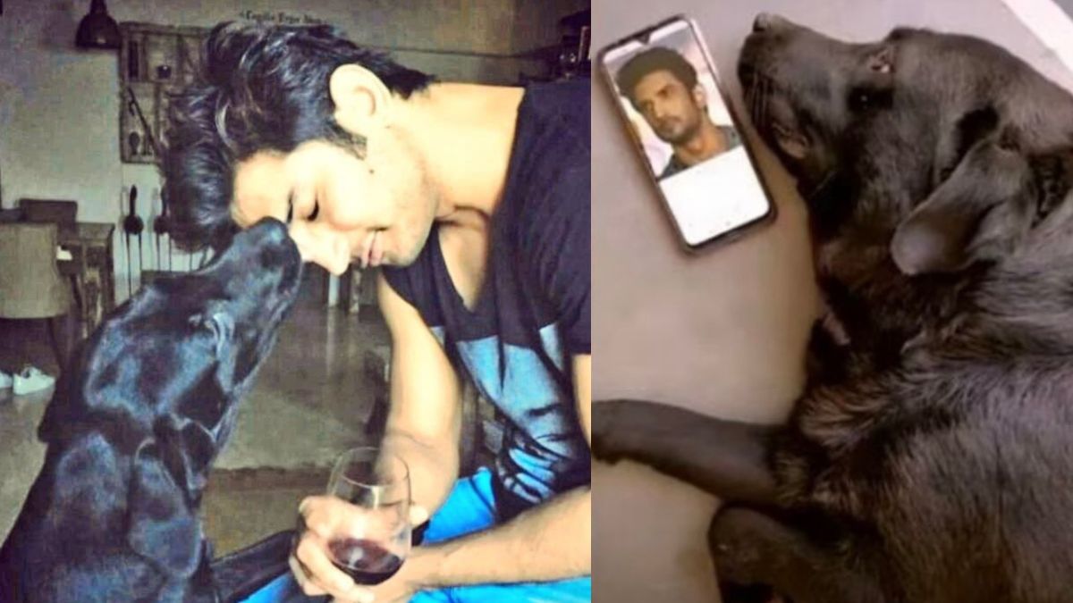Sushant Singh Rajput’s Beloved Dog Fudge Joins Him In Heaven, Watch His Last Memories With Actor!