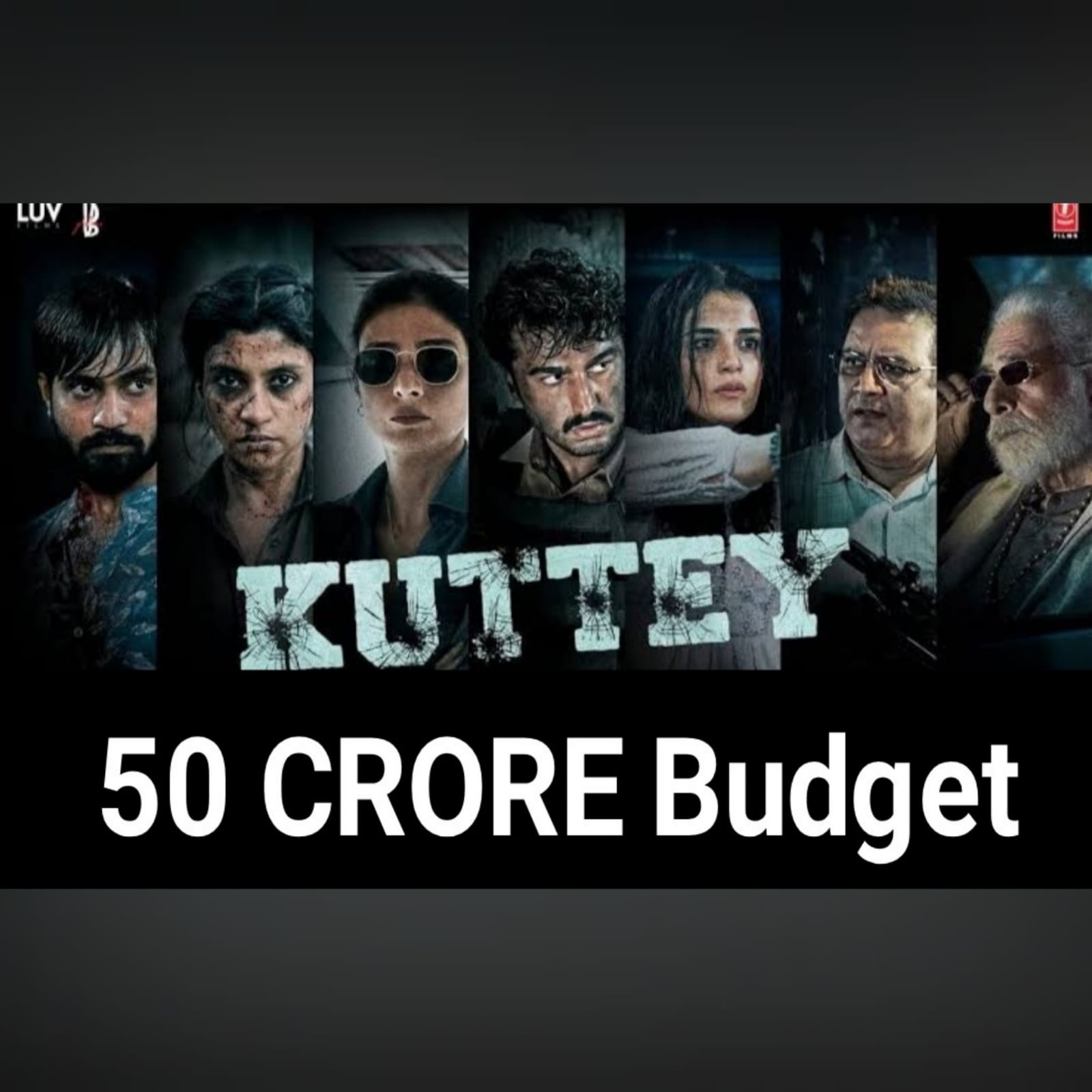 Kuttey Movie Cast Members Salary Revealed