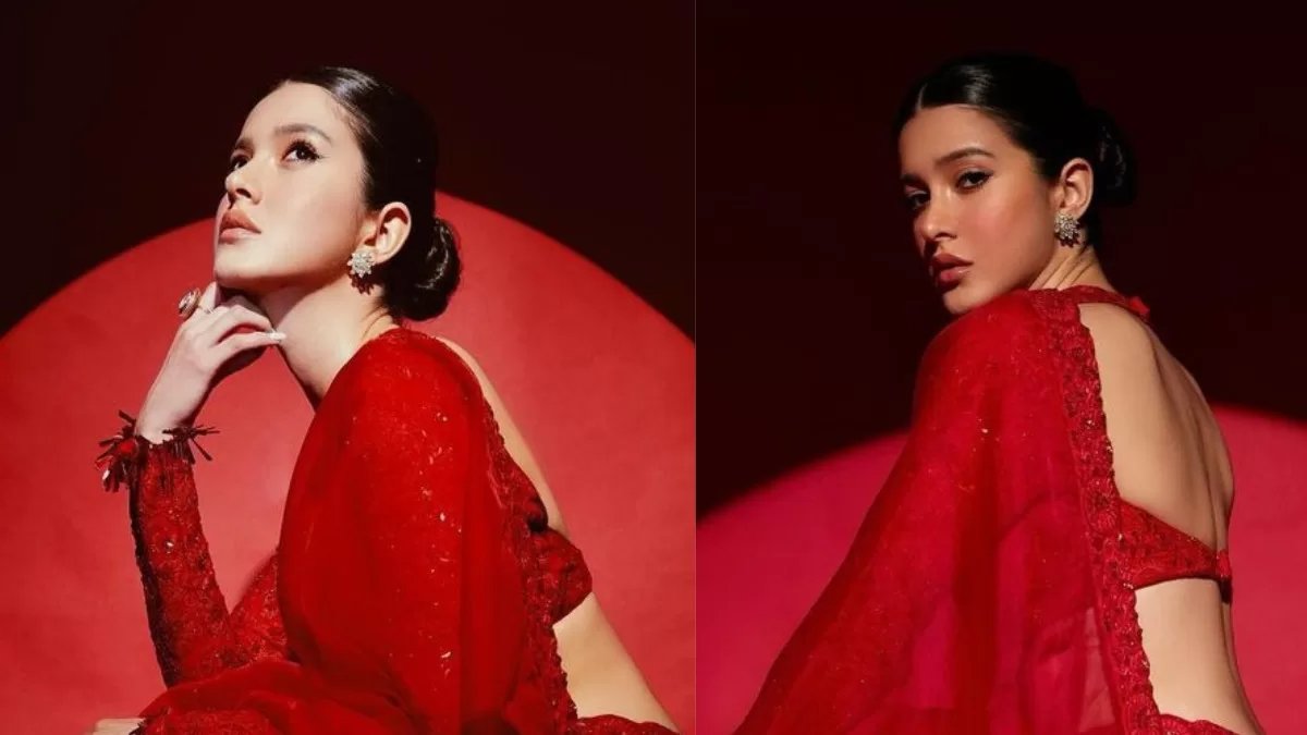 Shanaya Kapoor Tells An Ethnic Magnificence Story In A Beautiful Sheer Red Saree!