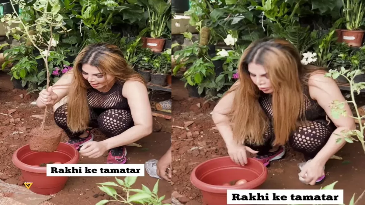 ‘Just For Footage’: Netizens Slam Rakhi Sawant For Wasting Tomatoes Amid Its Price Surge