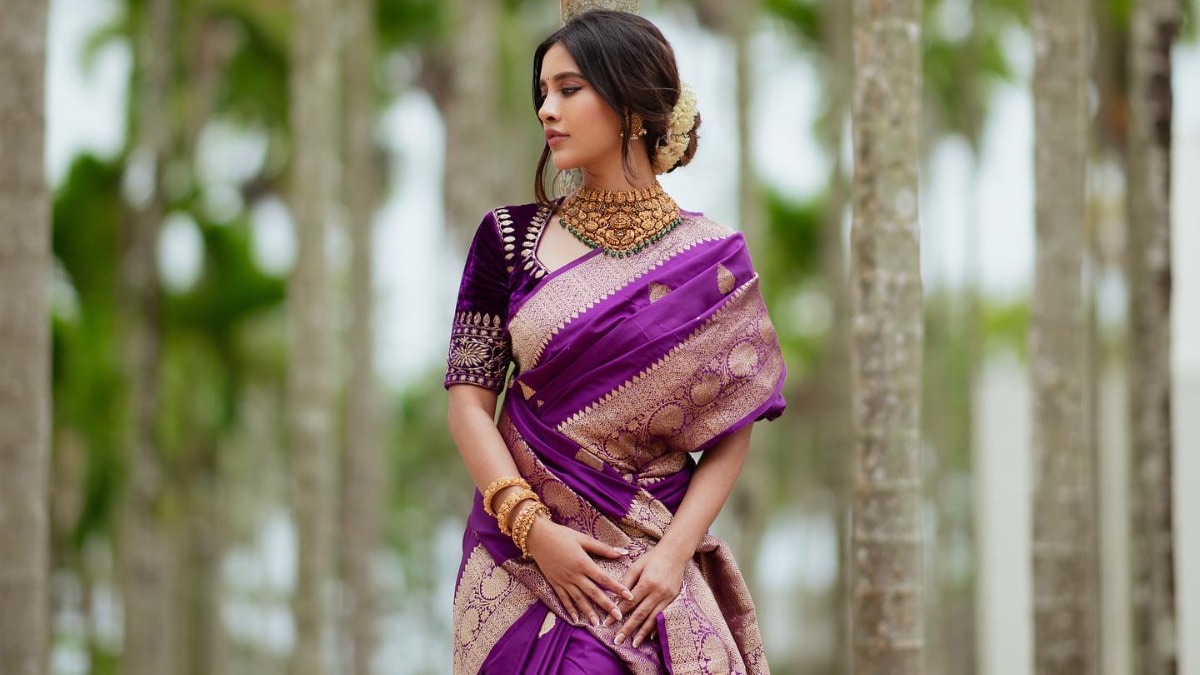 Actress Nabha Natesh Looks Regal In Purple Kanjivaram Silk Saree