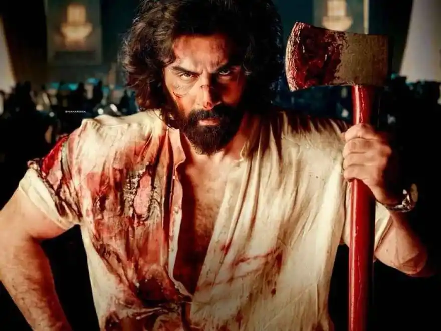 Animal Box Office Collection Day 10 Worldwide & Budget Second Sunday