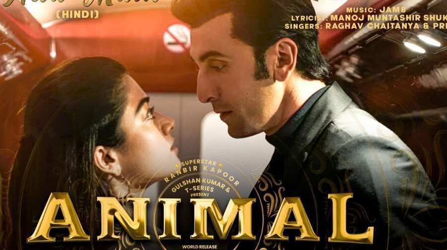 Animal Movie Review – Bollymoviereviewz