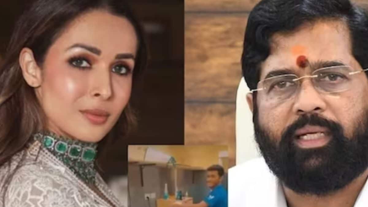 Mumbai Pet Clinic In Eye Of Storm As Celebs Call For Tough Action After Dog Abuse Incident