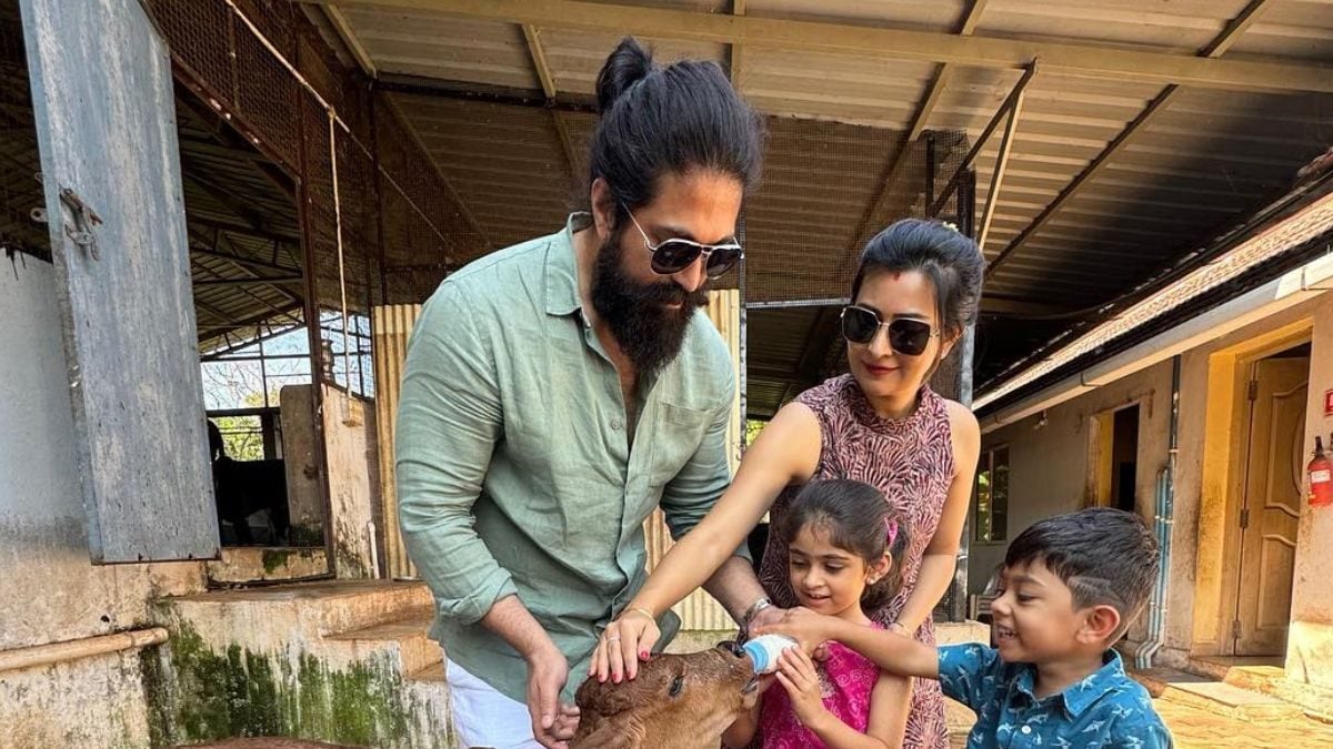 In Pics: South Star Yash’s Daughter Ayra Feeds Milk To A Calf At His Farm