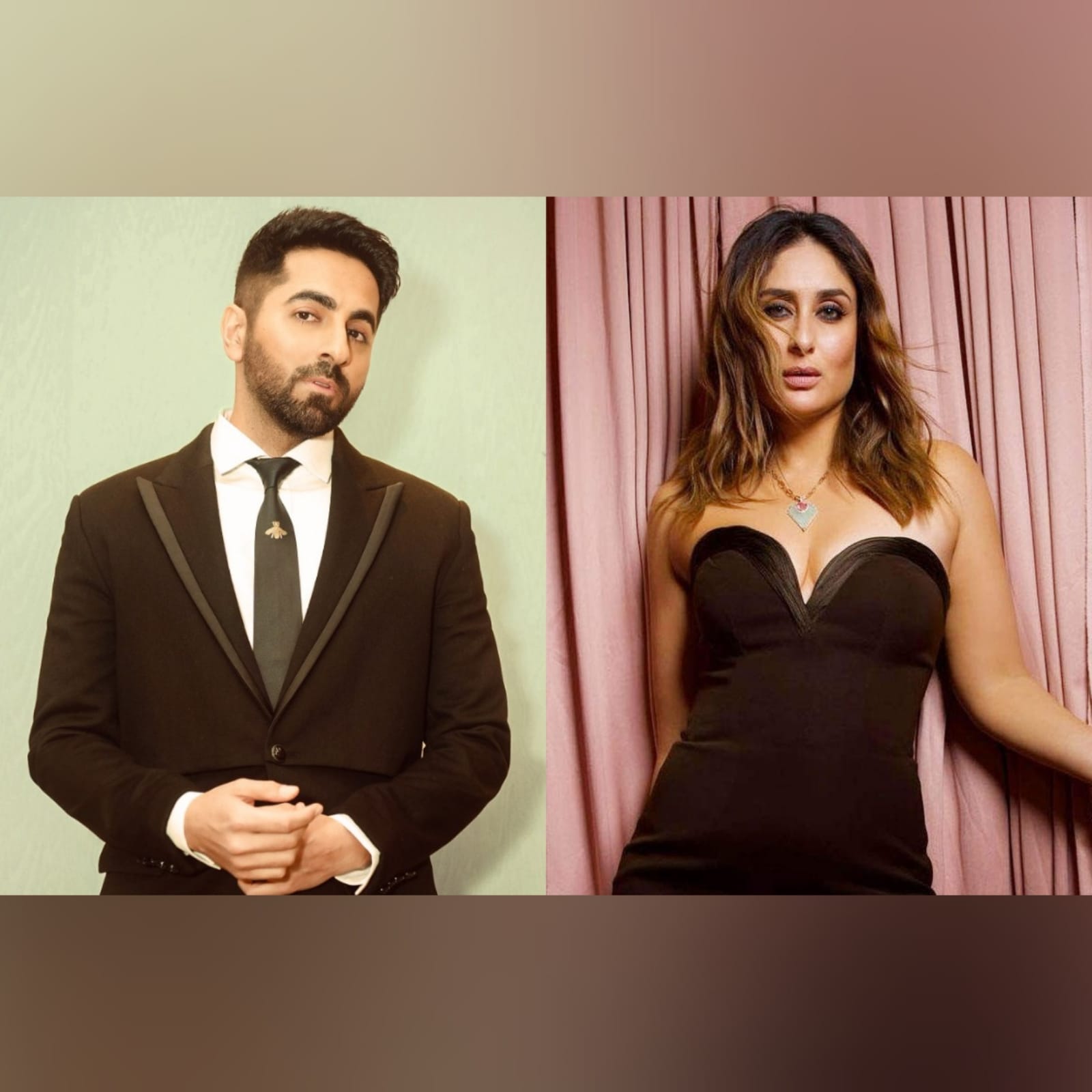 Ayushmann Khurrana And Kareena Kapoor Khan Cast In Daayra