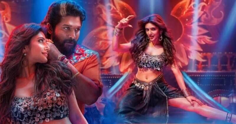 Pushpa 2 :The Rule Day 25 Box Office Collection Worldwide & Budget Fourth Sunday