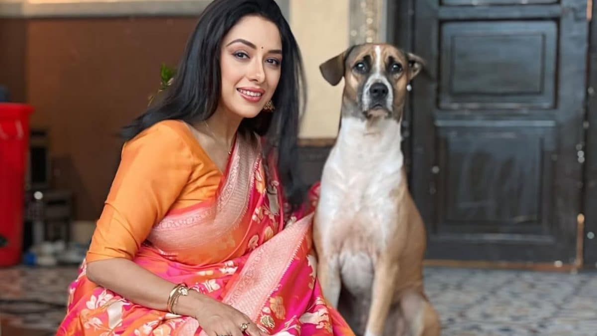 Rupali Ganguly Condemns Supreme Court Order On Stray Dogs: ‘It Isn’t Kindness, It’s Exile’ | Television News