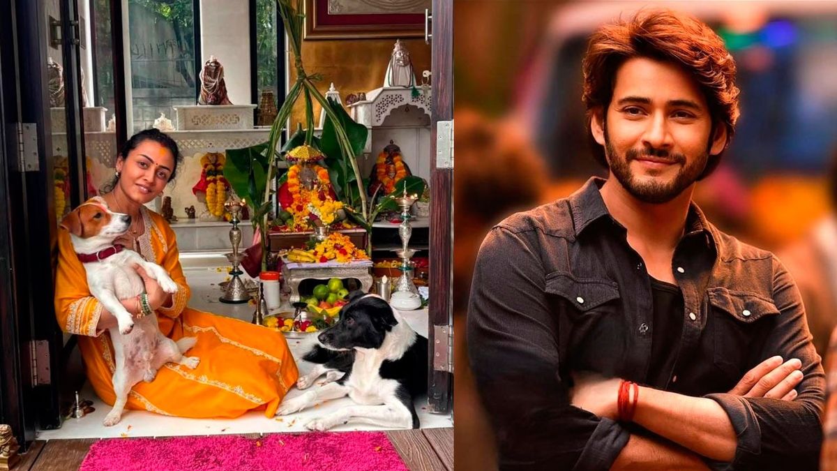 Mahesh Babu misses Ganpati Celebrations at Home due to SSMB29 shoot; Wife Shares A Message –