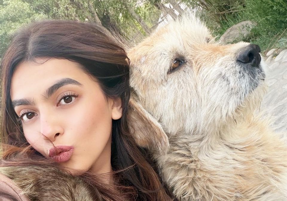 Kashika Kapoor voices strong support for stray dogs amid rising concerns over animal cruelty